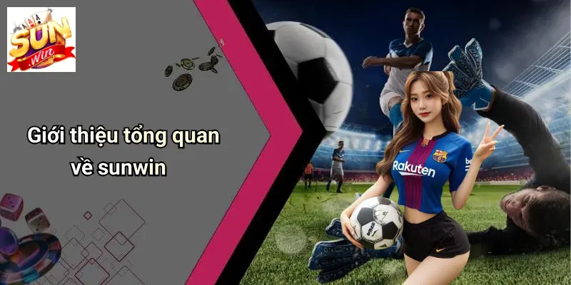 Giới thiệu tổng quan về sunwin